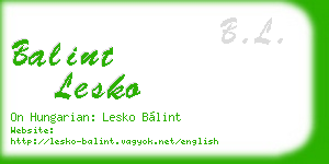 balint lesko business card
